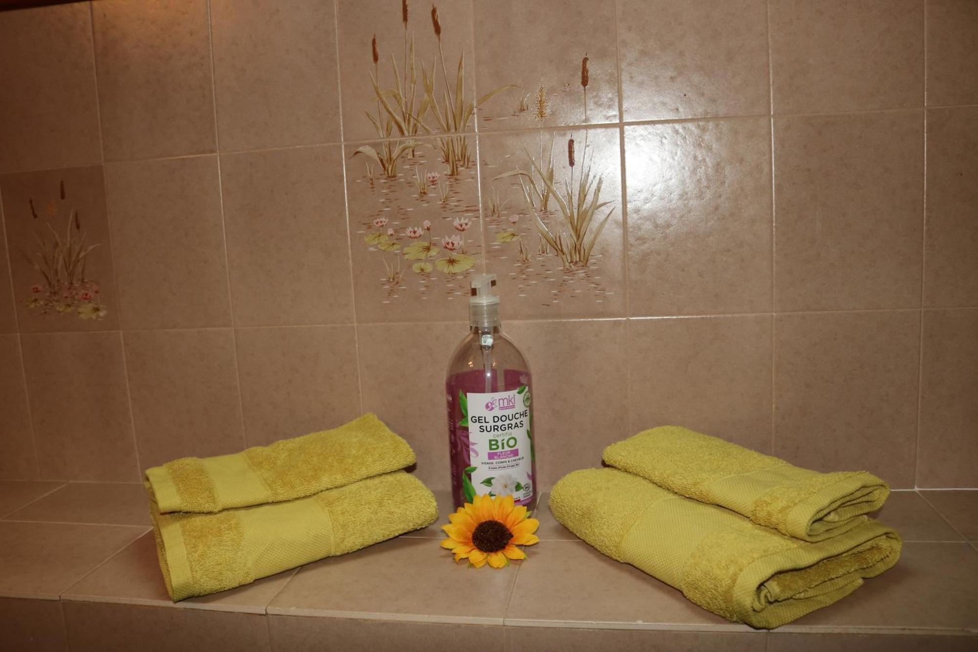 L'Autre Monde Chambres D'Hotes (Adults Only) Faverolles  Екстериор снимка